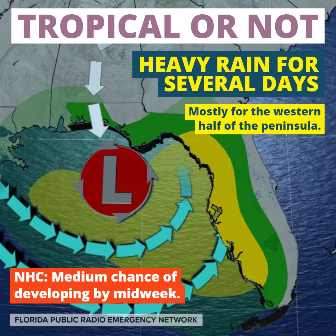 First tropical system might develop in the NE Gulf this week | Lewis ...